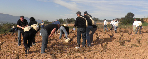 Viajes de incentivo/Team building Viajes de incentivo/Team building