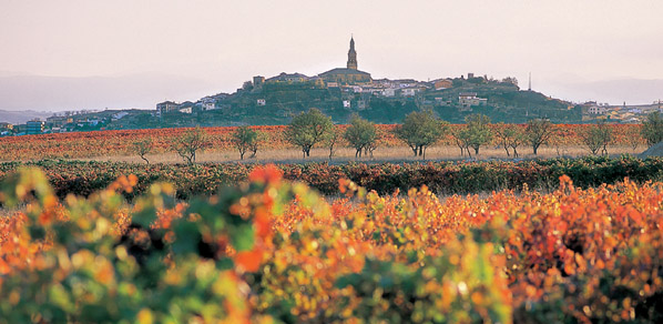 Villa medieval de Briones