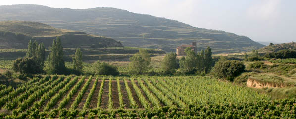 The Sonsierra with the chapel of Santa María de la Piscina in the background