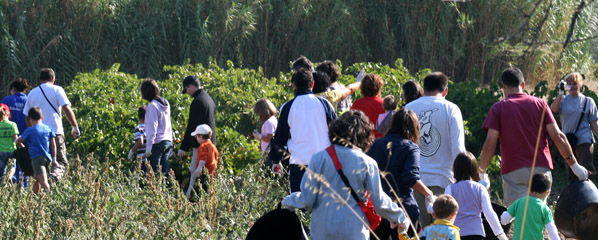 Vendimiando en familia Vendimiando en familia