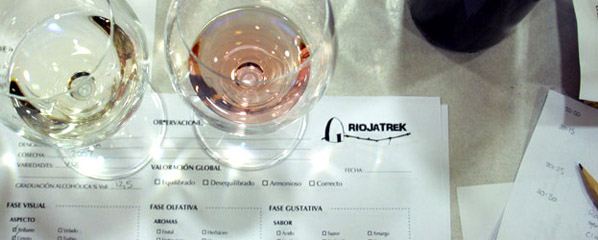 Curso de cata de vinos Curso de cata de vinos