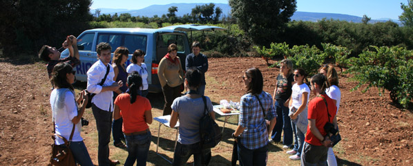 Almorzando a pie de viña