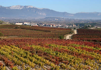 Geführte Besichtigungen in La Rioja