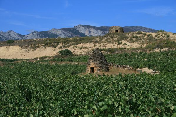 Guardaviñas en la Rioja alavesa