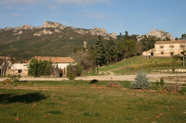 Viñedos del Ternero, un paraiso perdido bajo los Obarenes